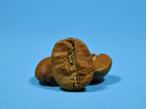 棕色咖啡豆摄影特写图片